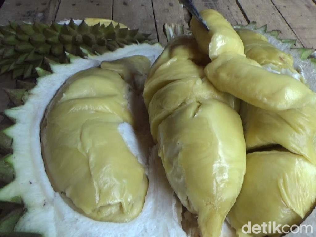 Durian Mentega di Lumajang Tawarkan Sensasi Manis Legit