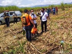 Pria di Banyuwangi yang Mayatnya Nyaris Tinggal Kerangka Korban Pembunuhan