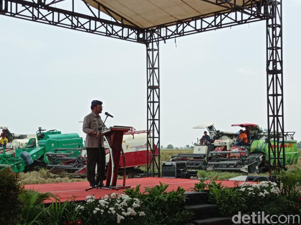 Mentan Syahrul Sebut Pertanian Perkasa Meski Dihantam Pandemi Mentan Syahrul Sebut Pertanian Perkasa Meski Dihantam Pandemi