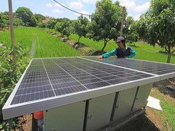 5.547 Pelanggan PLN Mulai Gunakan PLTS, Total Kapasitas 60.112 kWp