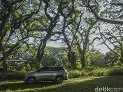 Keseruan Road Trip 3.000 Km Jakarta-Bali Bersama Wuling Almaz RS