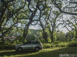 Keseruan Road Trip 3.000 Km Jakarta-Bali Bersama Wuling Almaz RS