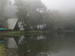 5 Destinasi Murah Dijamin Seru dan Bagus di Bogor, Bujet Rp 0-500 Ribu