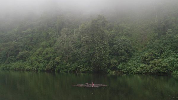 Pemandangan Syahdu dari Telaga Warna Puncak, Bogor