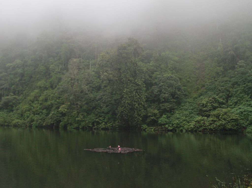 Pemandangan Syahdu dari Telaga Warna Puncak, Bogor Pemandangan Syahdu dari Telaga Warna Puncak, Bogor