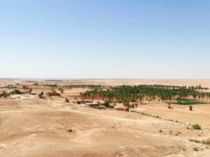 Desa di Gurun Irak Terisolasi, COVID Diklaim Tak Sampai ke Sini