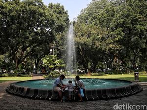 4 Keunikan Taman Suropati, Aneka Ragam Flora hingga Spot Baca Buku 4 Keunikan Taman Suropati, Aneka Ragam Flora hingga Spot Baca Buku