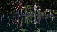 Jakarta PPKM Level 2, Taman Suropati Kembali Dibuka