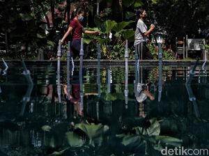 Terapi Murah untuk Orang Kesepian: Jalan-jalan di Alam Terapi Murah untuk Orang Kesepian: Jalan-jalan di Alam