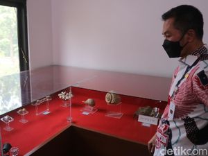 Keterbatasan Ruang, Museum Patiayam Kudus Minim Display Koleksi Fosil Keterbatasan Ruang, Museum Patiayam Kudus Minim Display Koleksi Fosil