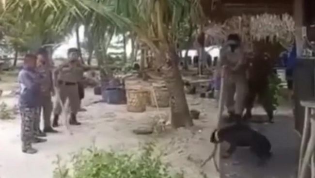 Murka Bupati Sebab Anjing Canon Mati Diviralkan di Dunia Maya Murka Bupati Sebab Anjing Canon Mati Diviralkan di Dunia Maya