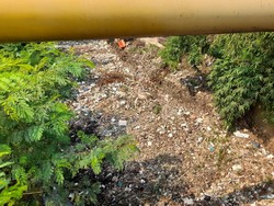 Pemkab Belum Angkut Sampah di Kali Jambe Belakang Tol Japek