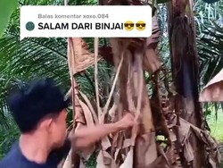 Salam dari Binjai Viral di Dunia Maya Bikin Bangga Wali Kota