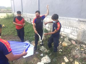 Warga Lamongan Kaget Temukan Sarang Ular Kobra Saat Bersih-bersih