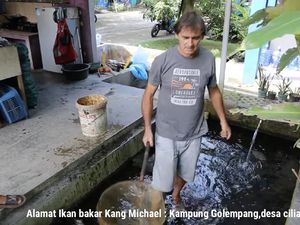 Bule Jadi Tukang Ikan hingga Keluarga Kabur Tak Bayar Makan Rp 3,6 Juta! Bule Jadi Tukang Ikan hingga Keluarga Kabur Tak Bayar Makan Rp 3,6 Juta!