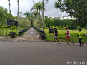 Ikut Race Marathon, Wisata Berkedok Lomba Lari Ikut Race Marathon, Wisata Berkedok Lomba Lari