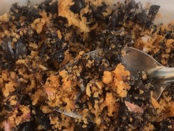 Zonk! Pesan Cumi Goreng Tepung yang Datang Kremes Tinta Hitam