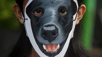 Aksi Solidaritas untuk Anjing Canon di Solo
