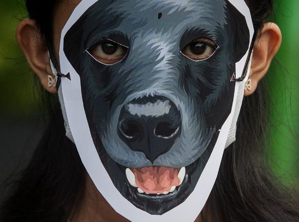 Aksi Solidaritas untuk Anjing Canon di Solo