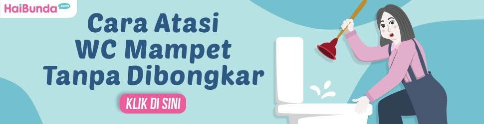 Banner Cara Atasi WC mampet