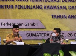 Peluang Besar, Pemprov Sumbar Siapkan Peta Investasi Gambir