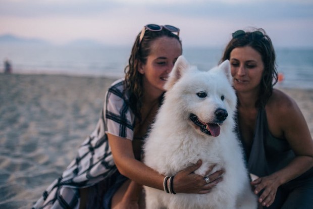 Kenali kepribadian berdasarkan kepribadian, pemelihara anjing cenderung extrovert/Foto: pexels.com/Anna Tarazevich