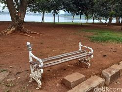 Malang Nian Kondisi Terkini Taman Waduk Pluit Peninggalan Era Jokowi-Ahok
