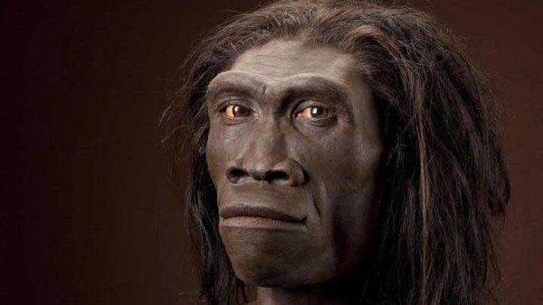 Menilik Manusia Purba dalam Sejarah Indonesia