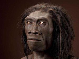 Menilik Manusia Purba dalam Sejarah Indonesia