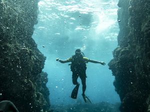 2 Orang Tewas Saat Scuba Diving Filiphina, 1 Korban Ada di Rahang Hiu 2 Orang Tewas Saat Scuba Diving Filiphina, 1 Korban Ada di Rahang Hiu