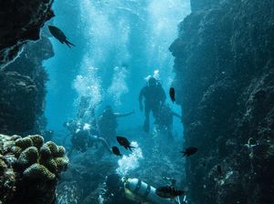 Menyusuri Keindahan Bawah Laut Pulau Sabang