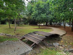 Akankah Pemprov DKI Perbaiki Taman Waduk Pluit Warisan Jokowi-Ahok?