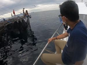 Jumpa Hiu Paus di Pulau Namatota, Sandiaga Uno Beri Namayuga