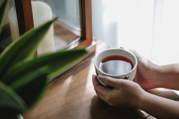 Atasi bau badan dengan rutin minum jamu air daun sirih/Foto: pexels.com/Charlotte May