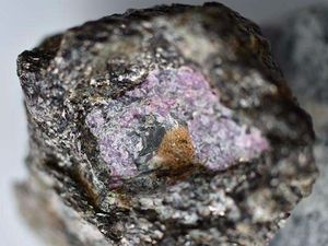 Batu Rubi Tertua di Dunia Ungkap Awal Kehidupan di Bumi Batu Rubi Tertua di Dunia Ungkap Awal Kehidupan di Bumi