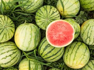 Kalender Jawa Selasa Kliwon 28 Februari 2023: Buah Menggantung Bisa Lebat Kalender Jawa Selasa Kliwon 28 Februari 2023: Buah Menggantung Bisa Lebat