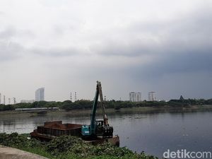 detikcom Do Your Magic: Pembersihan Waduk Pluit Ditarget Selesai Sepekan detikcom Do Your Magic: Pembersihan Waduk Pluit Ditarget Selesai Sepekan