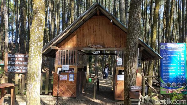 Foto: 7 Spot Instagramable Hutan Pinus Mangunan