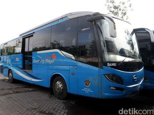 Sepekan DAMRI Setop Operasi, Penumpang Bidik Bus TMB