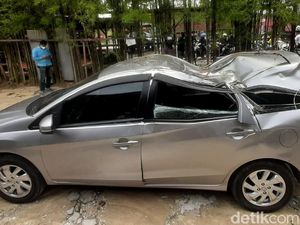 Ngeri! Mobil Tertimpa Pohon Tumbang Akibat Angin Kencang, Ini Tips Menghindarinya