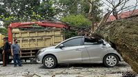 Braaak...! Mobil di Riau Ini Ringsek Ketimpa Pohon