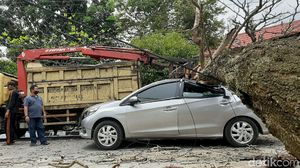 Braaak...! Mobil di Riau Ini Ringsek Ketimpa Pohon