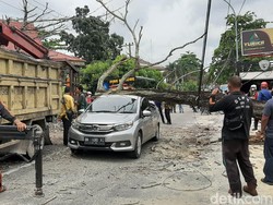Bruk! Pohon Kering Timpa Mobil Warga di Pekanbaru
