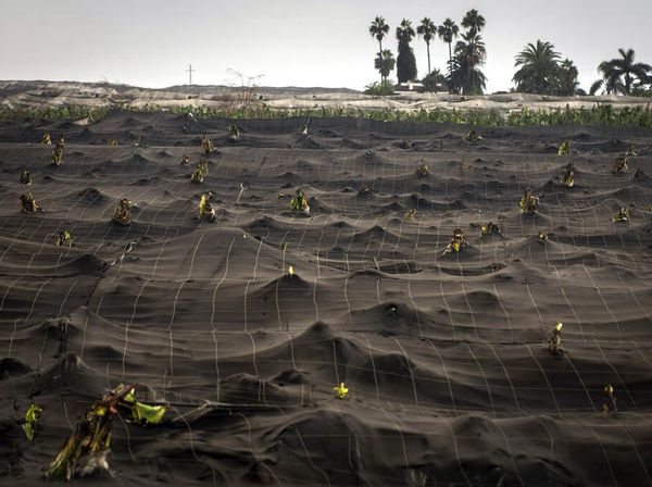 Bak Lautan, Abu Gunung Berapi Spanyol Selimuti Permukiman Warga