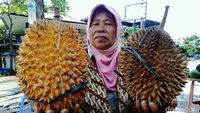 Durian Lereng Gunung Merapi Menunggu Pembeli