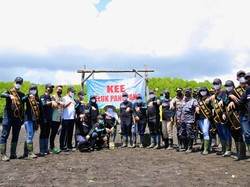Gubernur Khofifah Nandur Mangrove di Pesisir Teluk Pangpang Banyuwangi