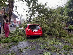 Pohon Tumbang Timpa 2 Kendaraan di Mojokerto Pohon Tumbang Timpa 2 Kendaraan di Mojokerto