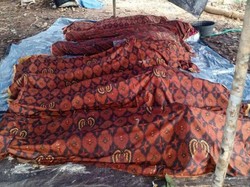 Tambang Emas di Kalteng Longsor Usai Hujan, 6 Penambang Tewas