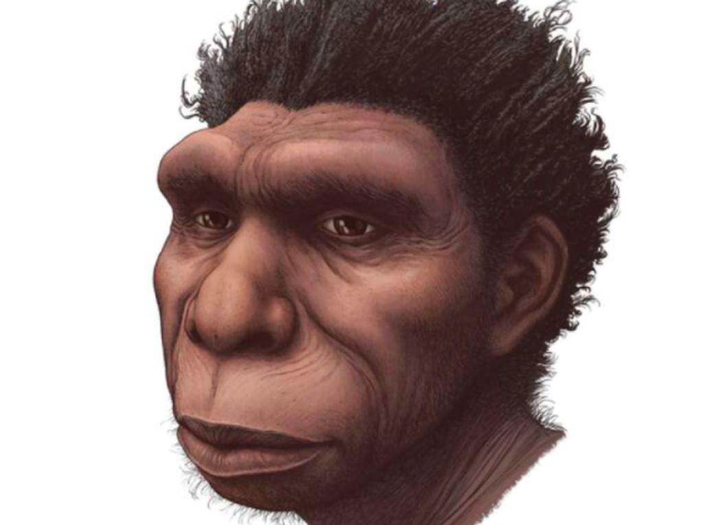 Sejarah Nenek Moyang Manusia Bisa Berubah Karena Homo Bodoensis Sejarah Nenek Moyang Manusia Bisa Berubah Karena Homo Bodoensis