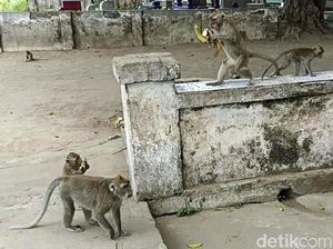 3 Cerita Pesugihan Paling Terkenal di Jawa Timur 3 Cerita Pesugihan Paling Terkenal di Jawa Timur